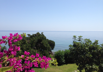 Bed And Breakfast Villa Addaura